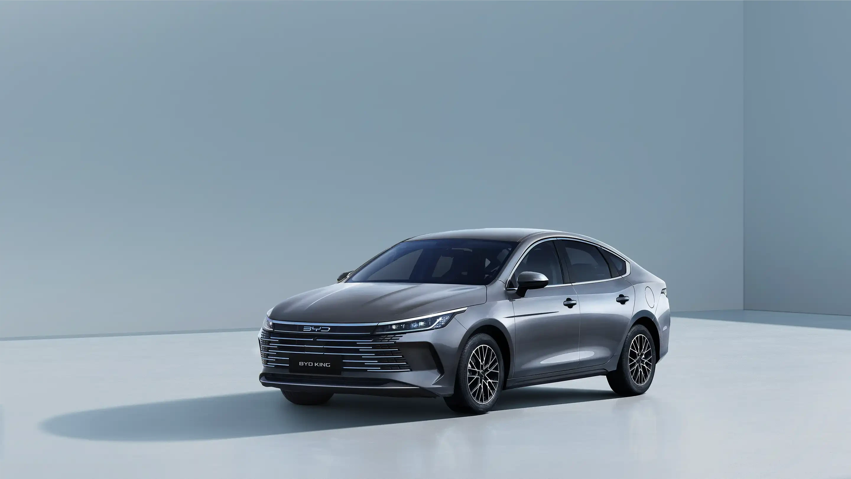 BYD King